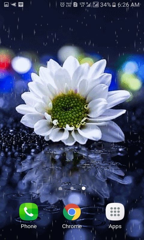 Rainy White Flower LWP