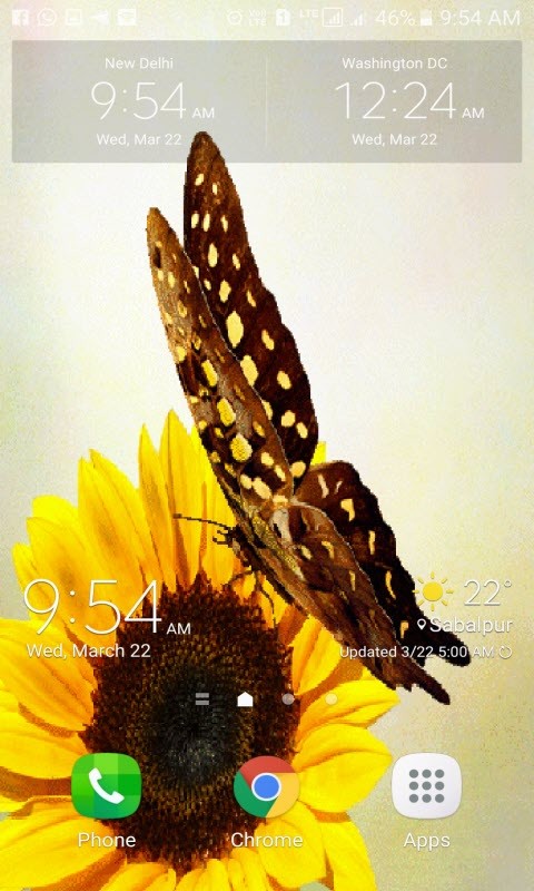 Yellow Flower Butterfly LWP