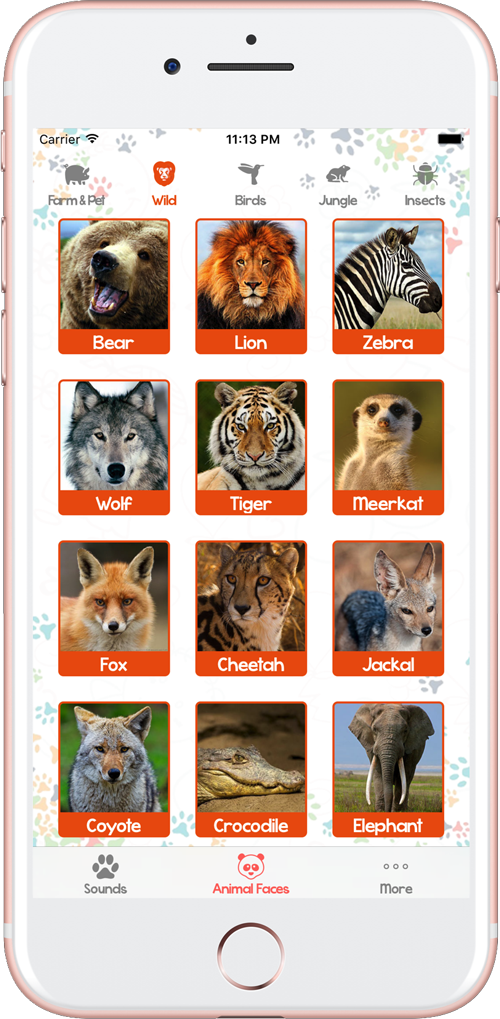 Animal Sounds and Pictures for Kids