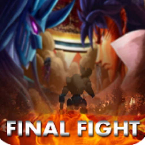 Guide For FInal Fight