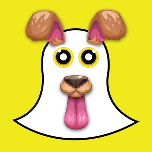 Snap Face Maker Creater