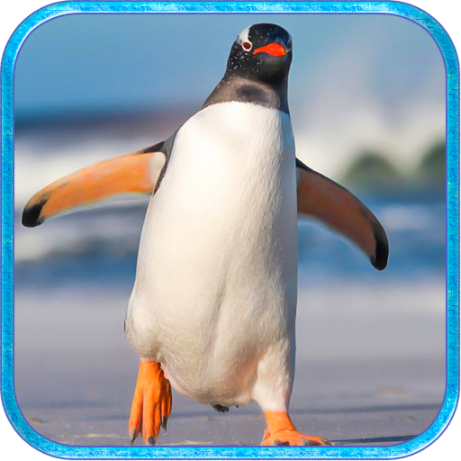 Ultimate Penguin Simulator