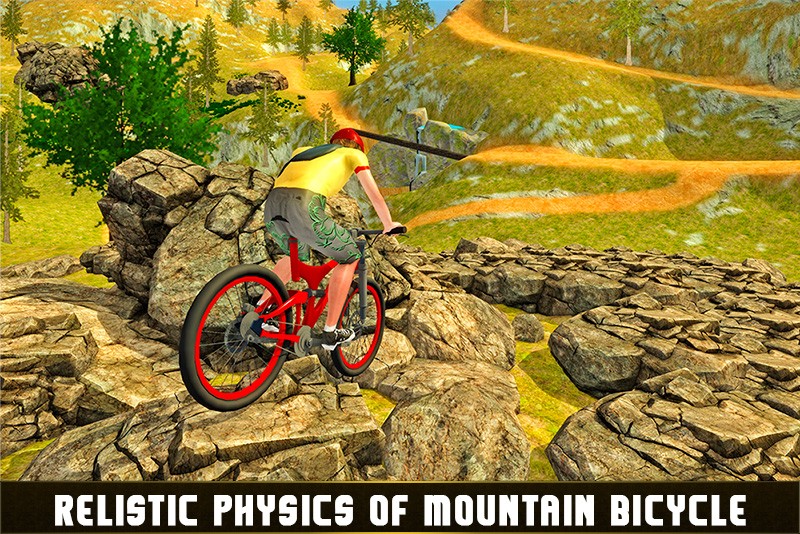 Downhill Offroad Bicycle Rider
