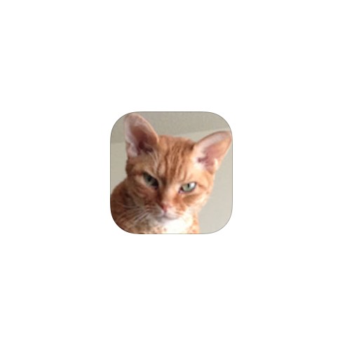 Feline Finder - Find & adopt the purrfect cat