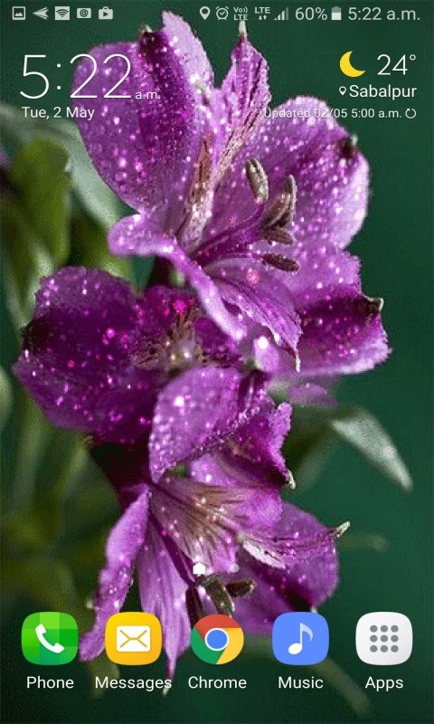 Purple Flowers Shine LWP