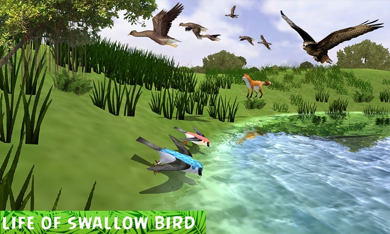 Swallow Bird Simulator