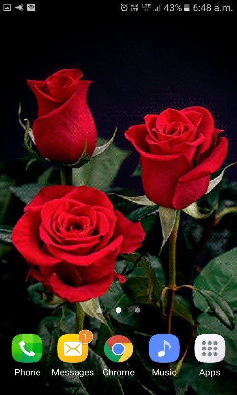 Valentine Red Roses LWP