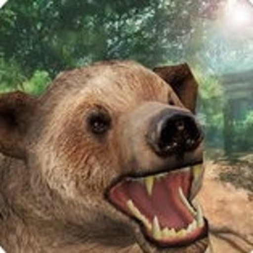 Wild Angry Animal Bear simulator 3d