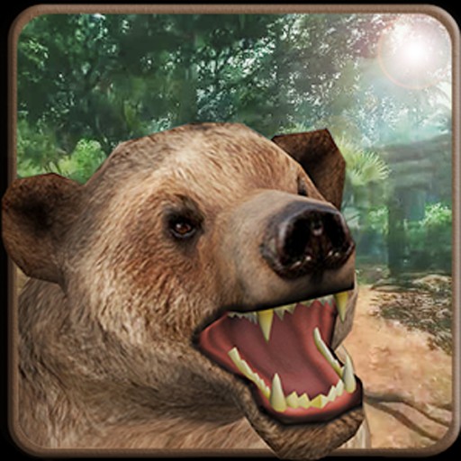 Wild Animal Bear Simulator 3D