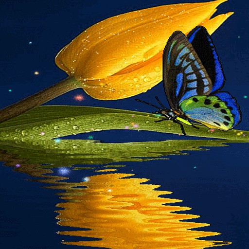 Blue Butterfly Live Wallpaper