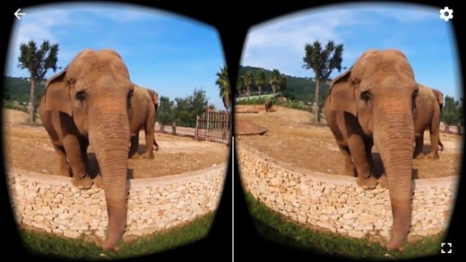 360 VR Elephant - Nature VR Apps for Kids