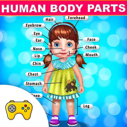 Kids Learning Human Bodyparts