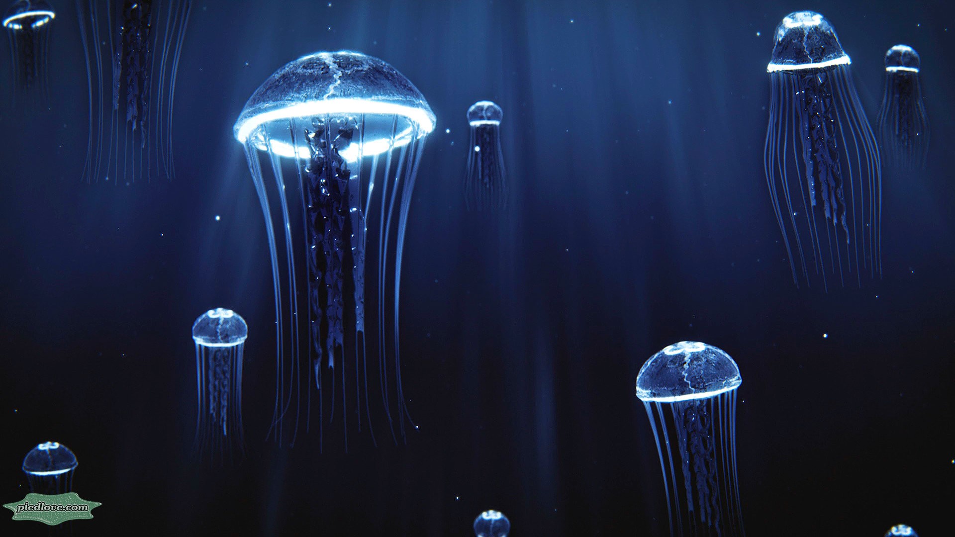 Precious Jellyfish 3D Hovering Under Deep Blue Sea