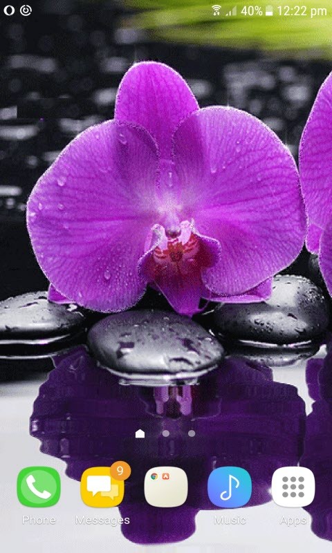 Purple Orchid Live Wallpaper