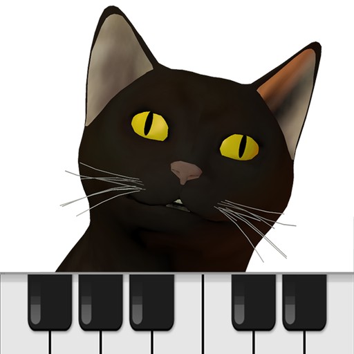 Cat Piano Keyboard play