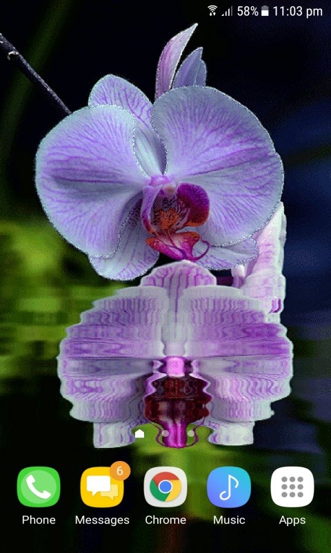 Purple Orchid Flower LWP