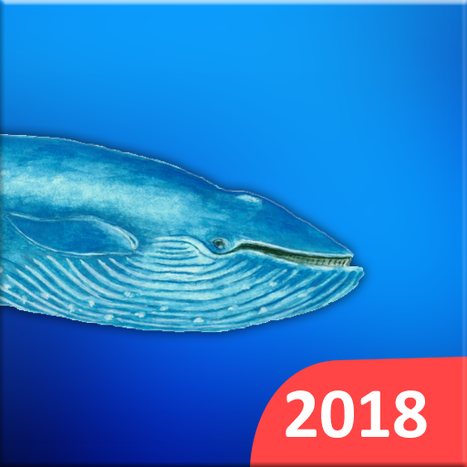 Blue Whales 2018