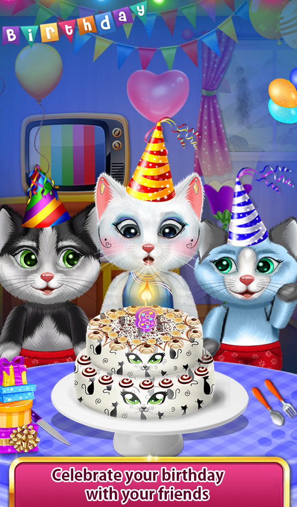 Kitty Birthday Party Celebration