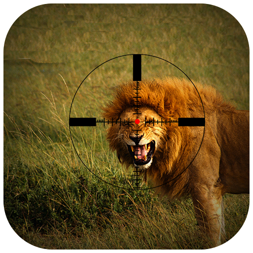 Lion Hunting in Jungle