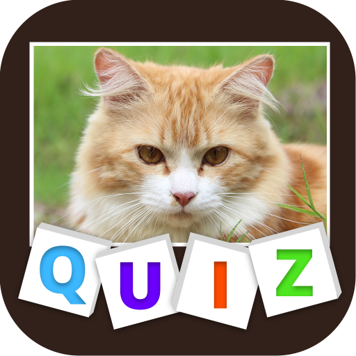 Animal Quiz