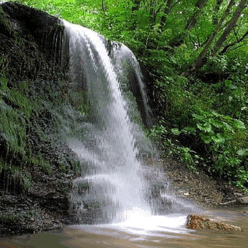 Forest Waterfall Live Wallpaper