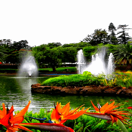 Fountains Beauty Live Wallpaper