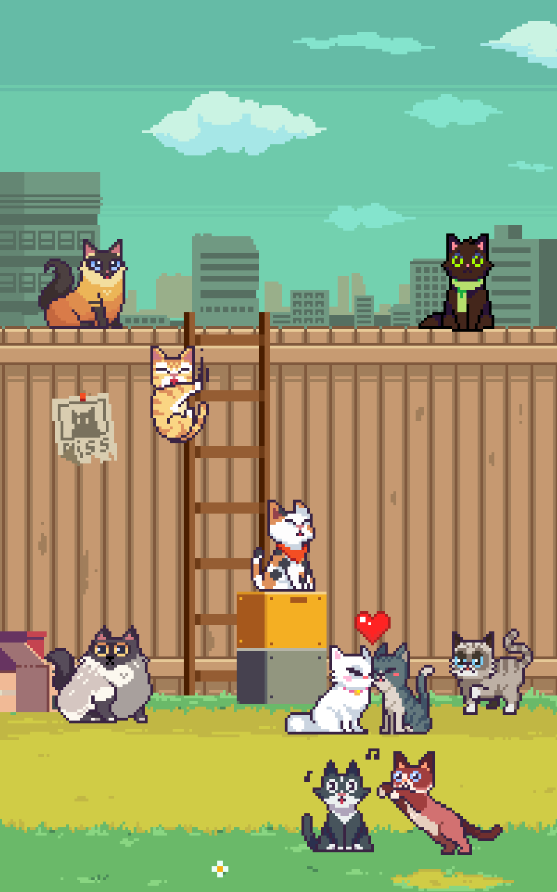 Игра cat game