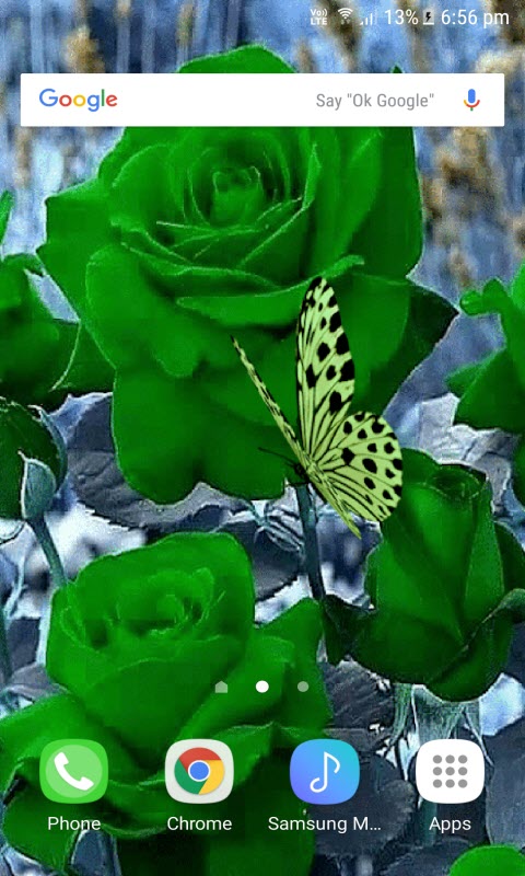 Green Roses Butterfly LWP