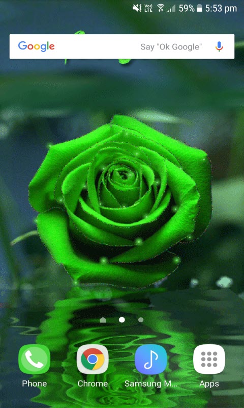 Green Shiny Rose LWP