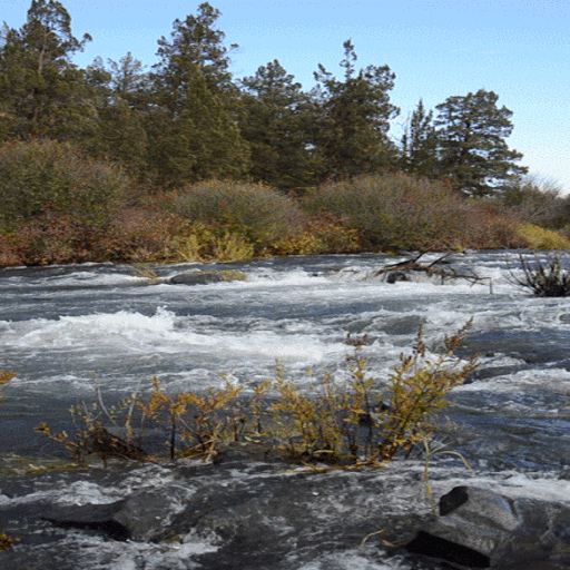 Nature Hilly River LWP