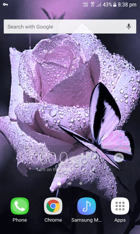 Purple Rose Butterfly LWP