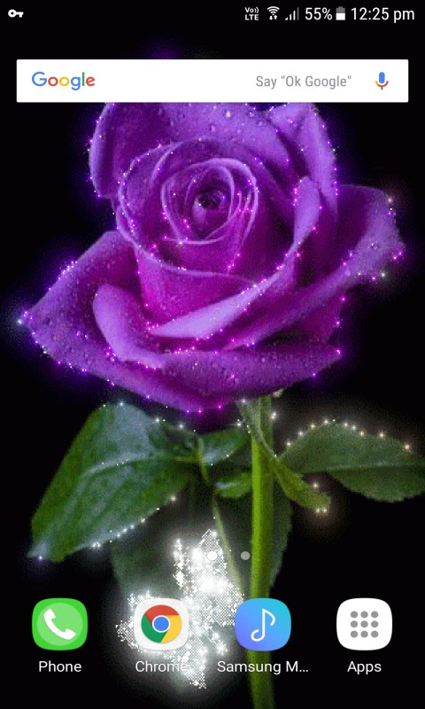 Purple Shine Rose LWP