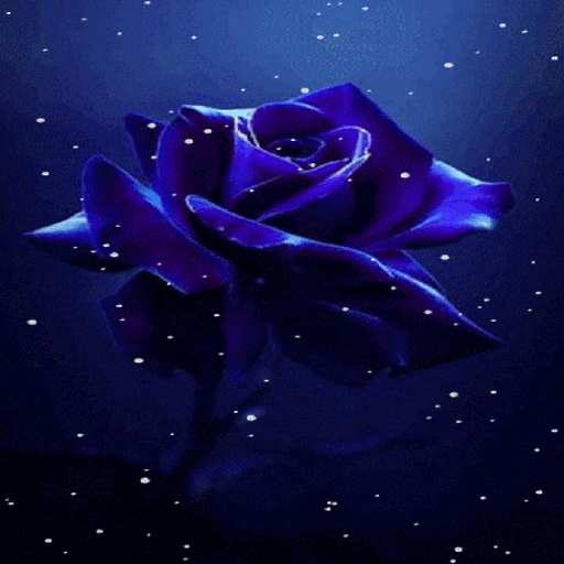 Snowy Blue Rose LWP