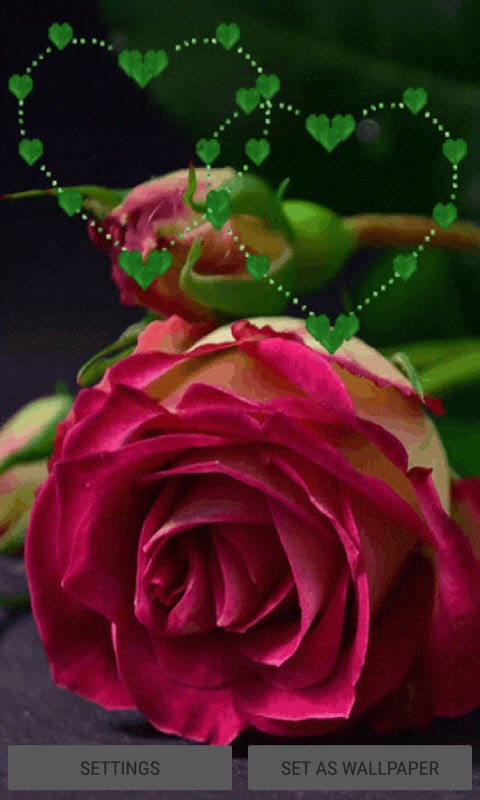 Green Heart Rose LWP