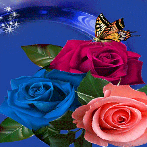 Multicolor Roses Butterfly LWP