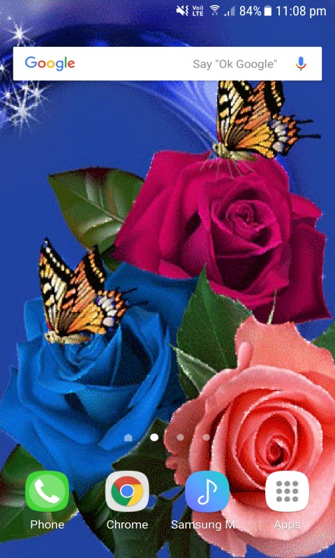 Multicolor Roses Butterfly LWP