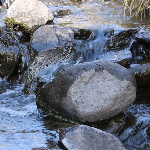 Nature Rocky River LWP