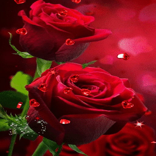 Red Roses Hearts LWP