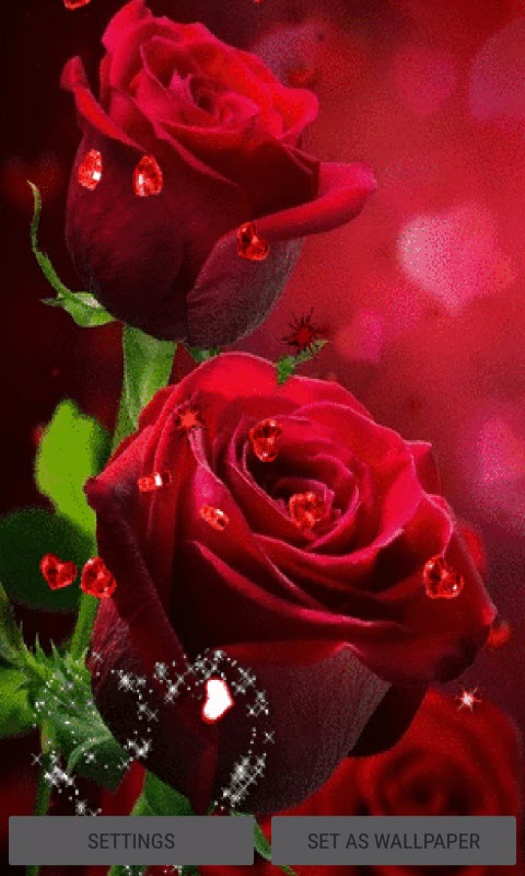 Red Roses Hearts LWP
