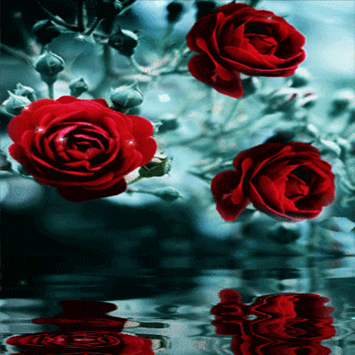 Red Roses Reflection LWP