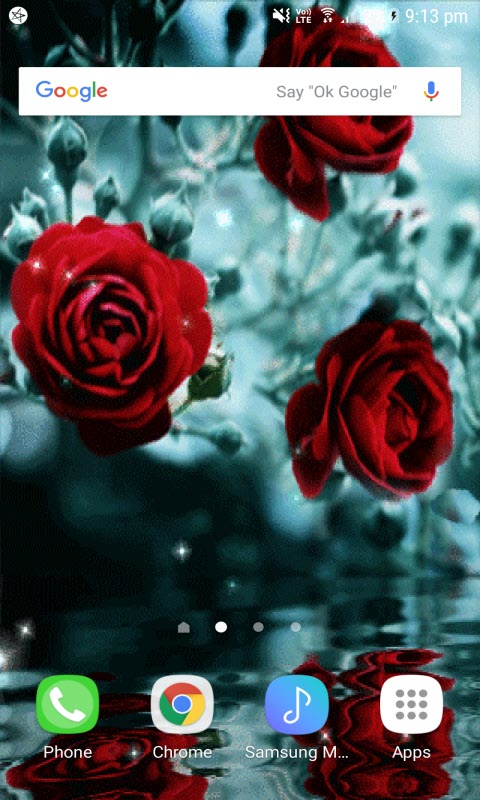 Red Roses Reflection LWP