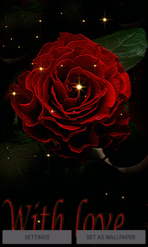 Rose With Love LWP