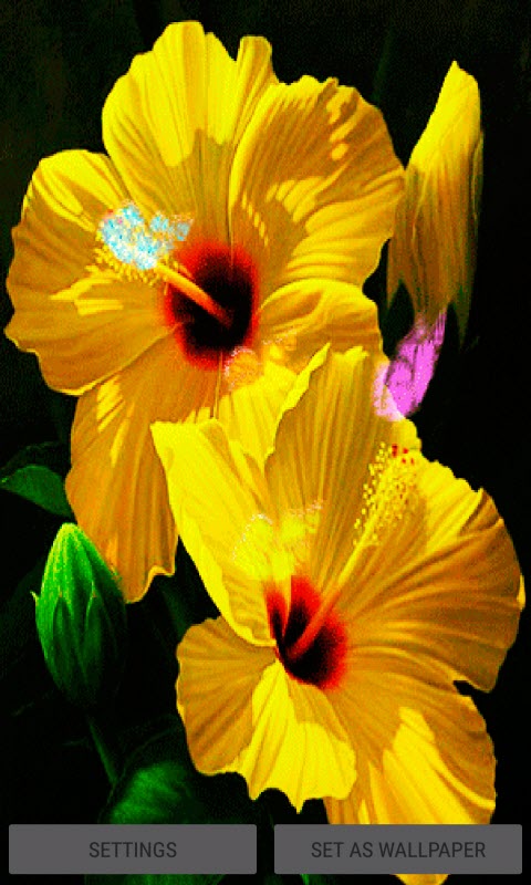 Yellow Flowers LWP