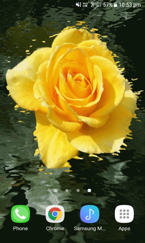 Yellow Rose Swing LWP