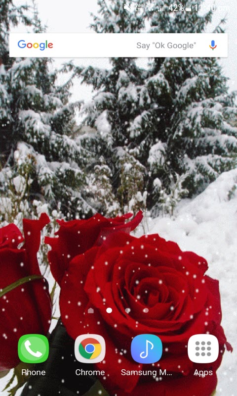 Winter Rose Live Wallpaper