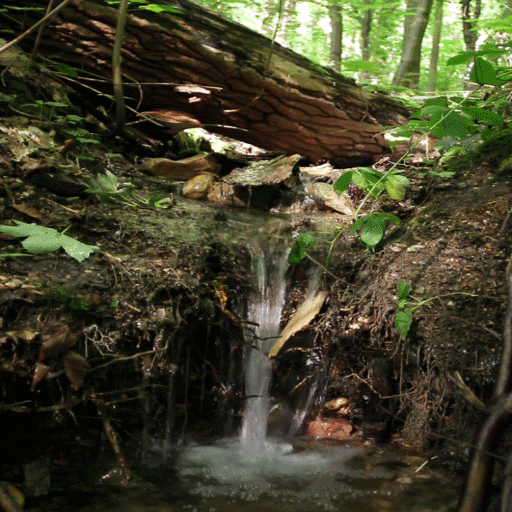 Nature Rainy Water LWP