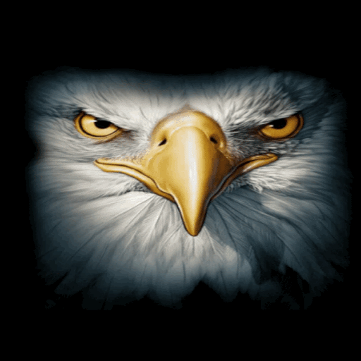 Eagle Face Live Wallpaper