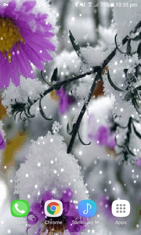 Snowy Purple Flower LWP