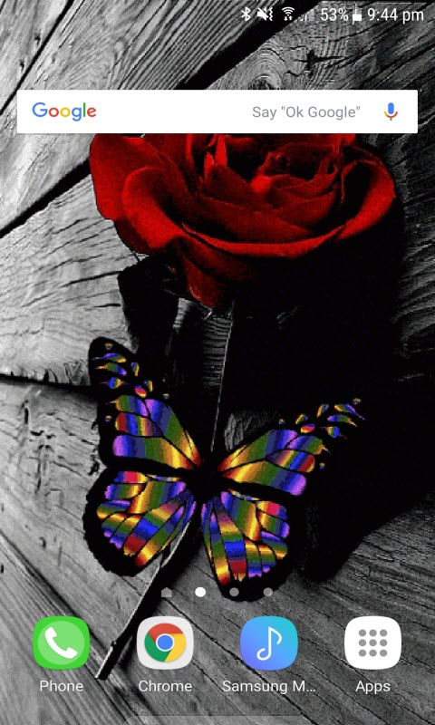 Multicolor Butterfly Rose LWP