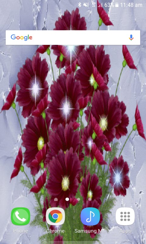 Beautiful Flowers Shine LWP